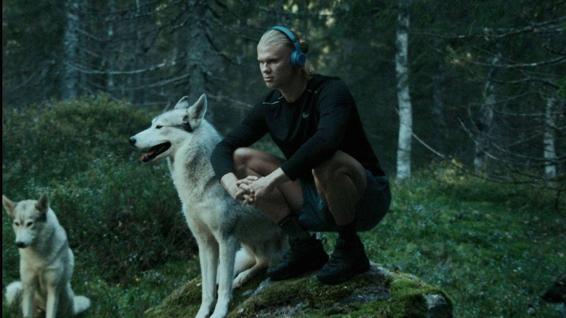 带来更多感 带来更多感