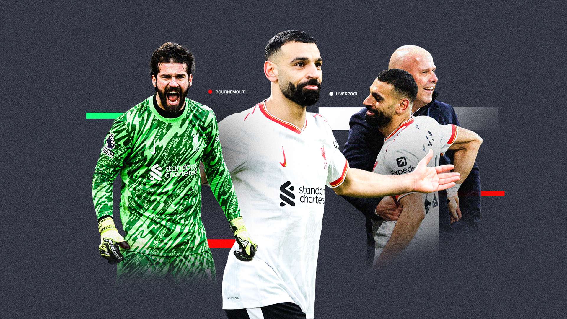 球迷的紧密 球迷的紧密