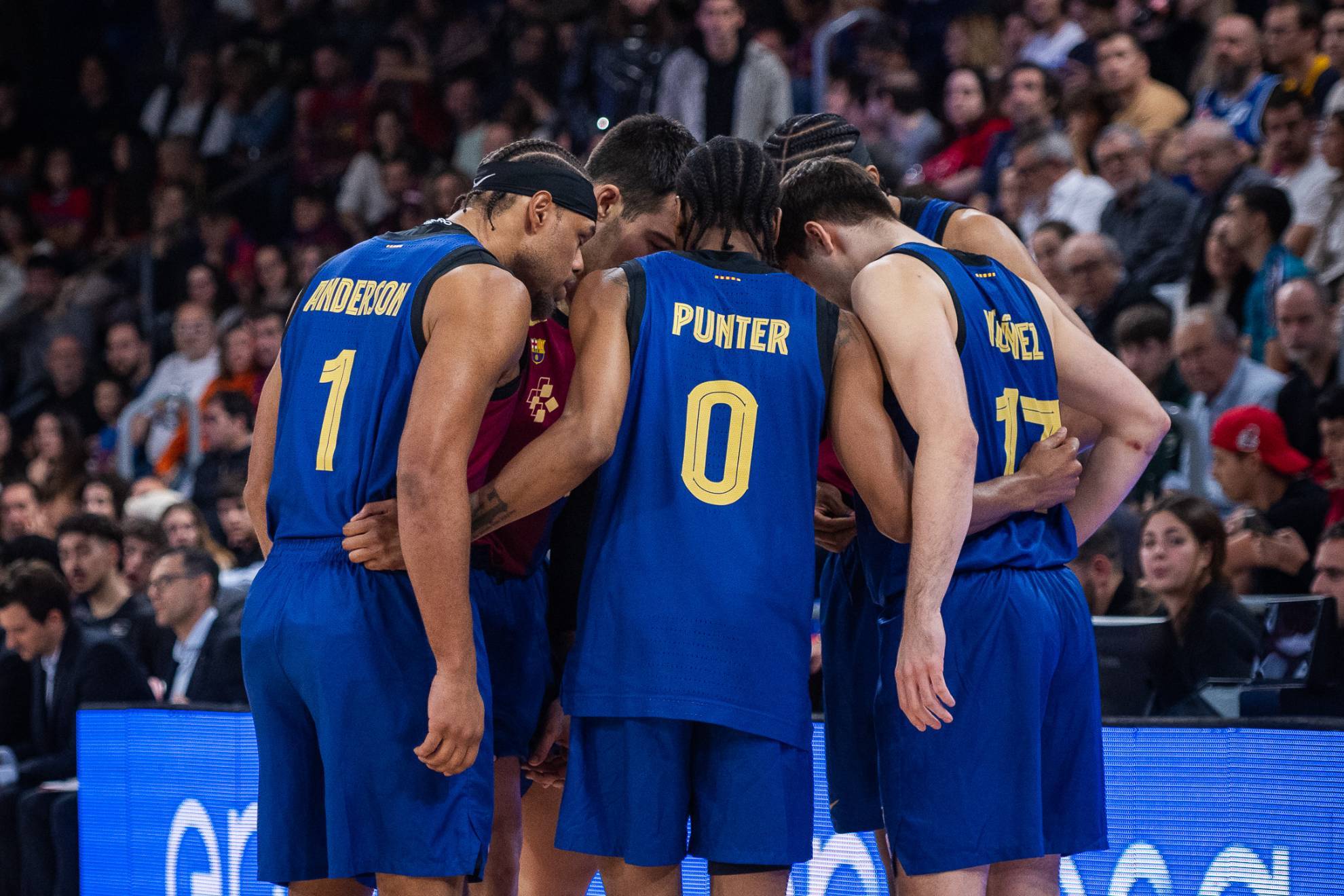 灰熊不得不 灰熊不得不